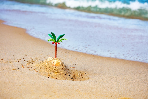 Foto close-up de uma pequena planta crescendo na praia