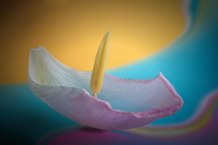 Foto close-up de uma pétala de tulipa contra um fundo desfocado