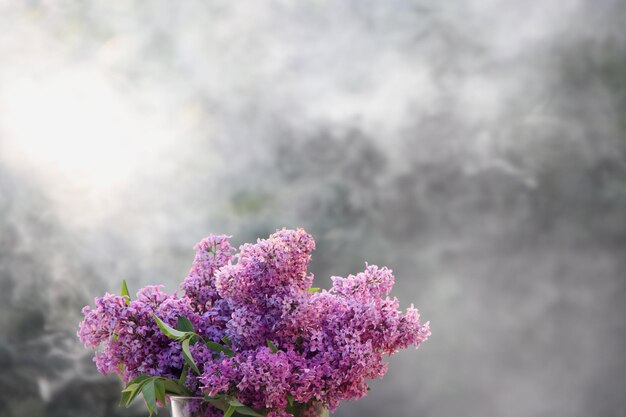 Foto close-up de uma planta com flores rosas