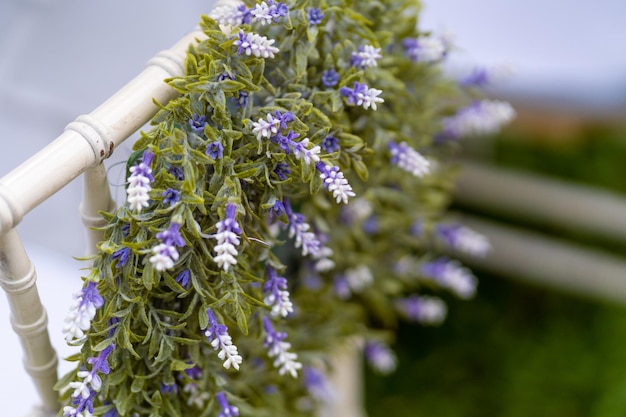 Foto close-up de uma planta com flores roxas