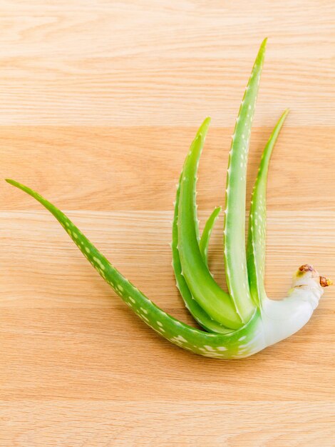 Foto close-up de uma planta de aloe vera em uma mesa de madeira