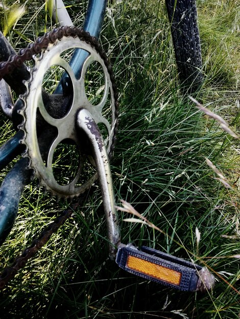 Foto close-up de uma roda de bicicleta em um campo gramado