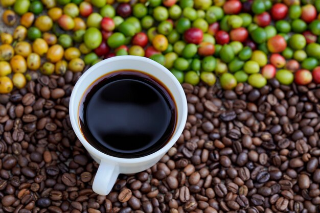 Close-up de uma xícara de café branca com fundo de grãos de café crus à luz do sol da manhã.