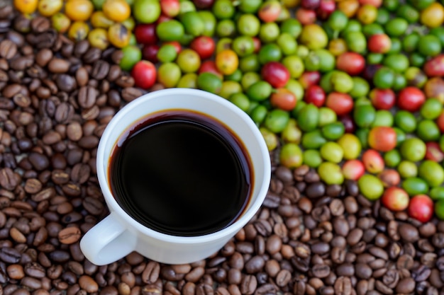 Close-up de uma xícara de café branca com fundo de grãos de café crus à luz do sol da manhã.