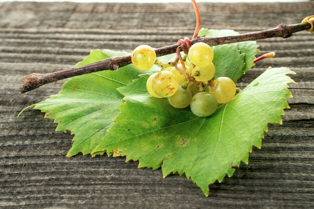 Close-up de uvas caseiras frescas na mesa