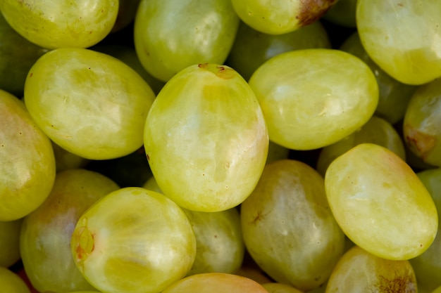 Close-up de uvas verdes