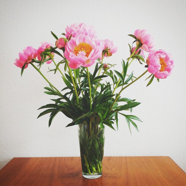 Foto close-up de vaso de flores rosa na mesa