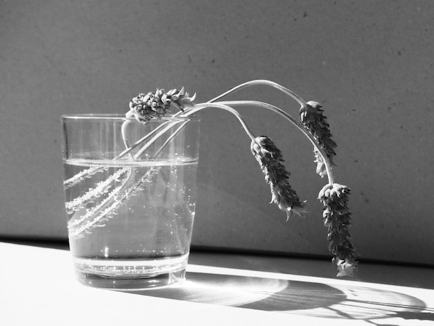 Close-up de vaso de vidro sobre a mesa