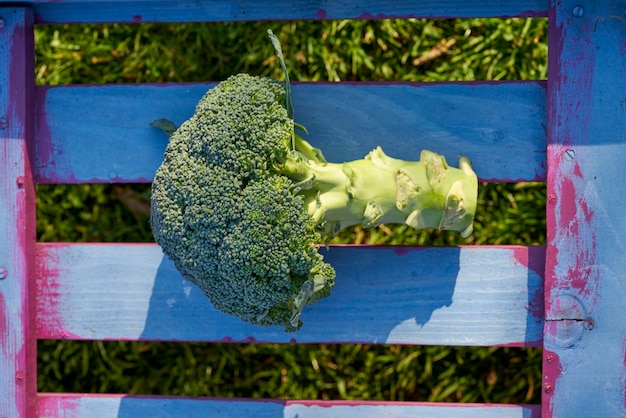 Foto close-up de vegetais em banco