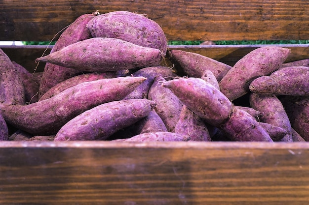 Foto close-up de vegetais para venda no mercado