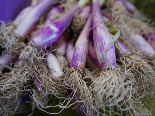 Foto close-up de vegetais para venda