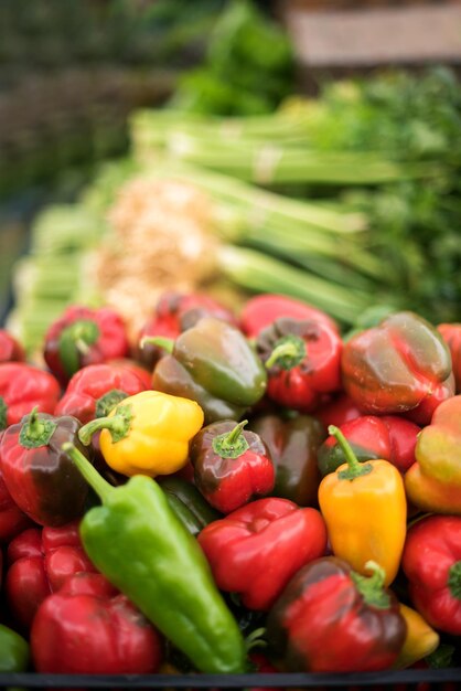 Foto close-up de vegetais