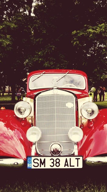 Foto close-up de vermelho e árvore