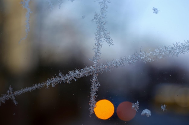 Close-up de vidro congelado contra árvores