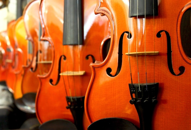 Close-up de violinos para venda em lojas