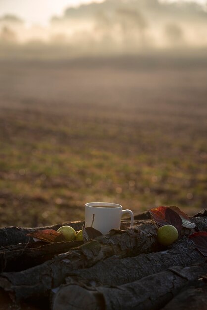 Foto close-up de xícara de café e frutas no campo