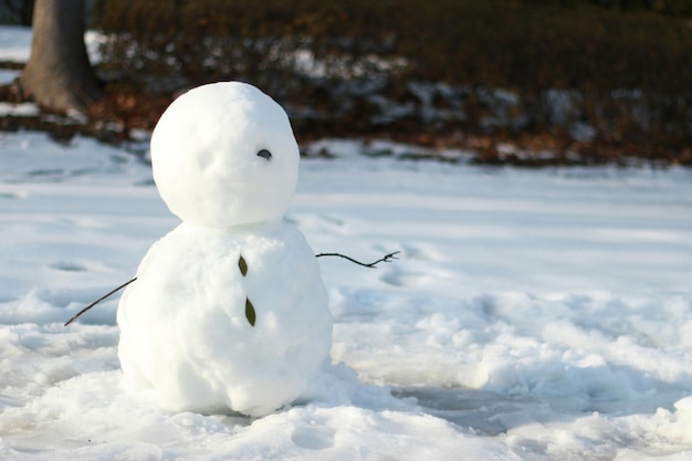 Close-up do boneco de neve no campo