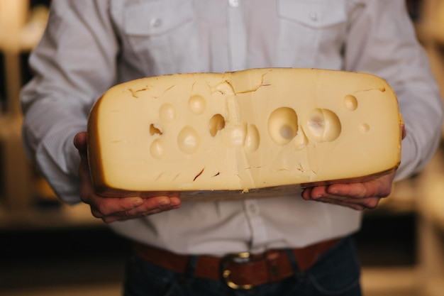 Close-up do homem Hansome segurando grande fatia de queijo maasdam na mão Queijo com grandes buracos Fundo de prateleiras com queijo