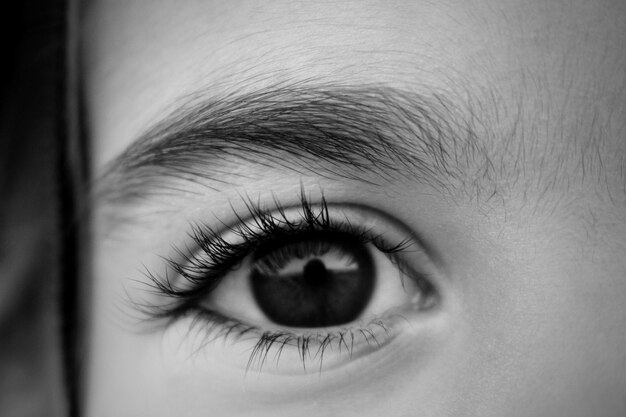 Foto close-up do olho da mulher