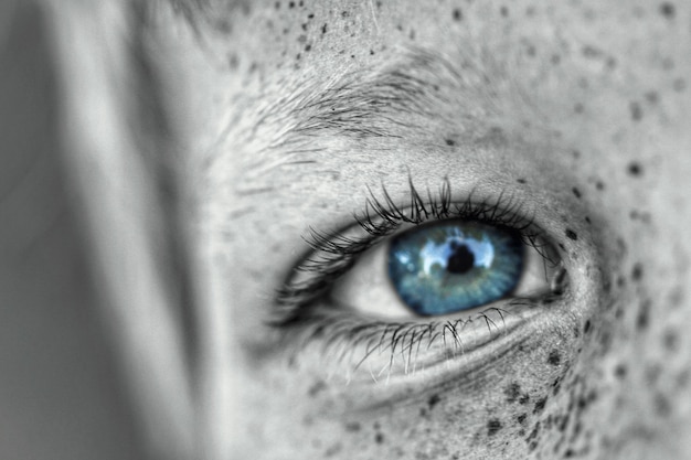 Foto close-up do olho humano