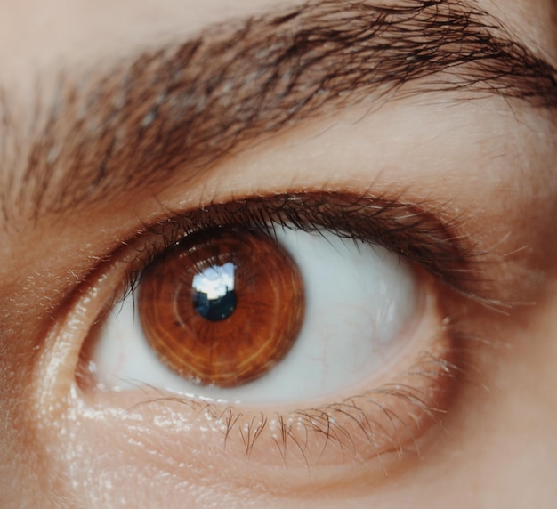 Close-up do olho humano