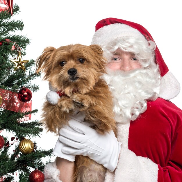 Close-up do Papai Noel segurando um cachorrinho isolado no branco