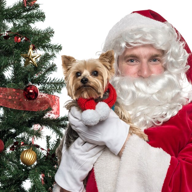 Foto close-up do papai noel segurando um cachorrinho isolado no branco