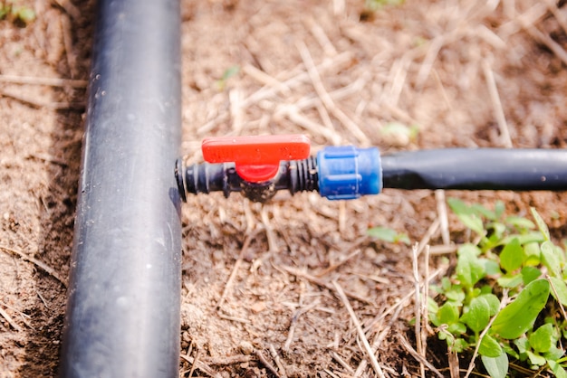 Close-up do sistema de irrigação por gotejamento. sistema de irrigação por gotejamento com economia de água sendo usado na fazenda.