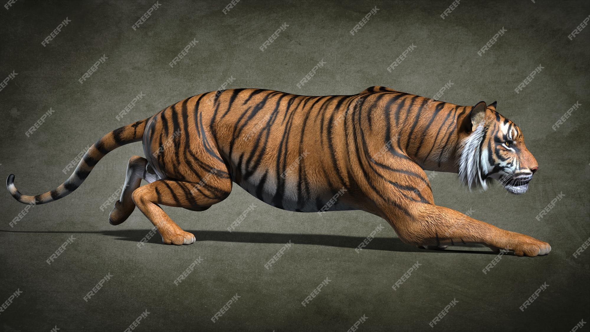 Close-up do tigre. ilustração 3d