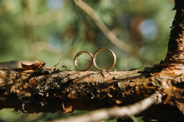 Close-up de dos anillos de bodas de oro para una boda