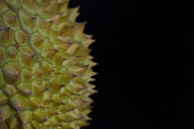 Close-up, Durain Mon Thong, rei das frutas no fundo preto.