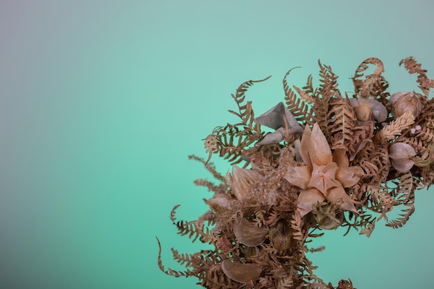 Foto close-up eines teils eines kranzes aus getrockneten blumen mit physalis auf dem aquamarinfarbenen hintergrund