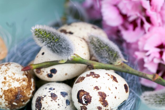 Close-up em flor de salgueiro perto de ovos