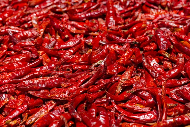 Foto close-up em red hot chilli peppers secando ao sol