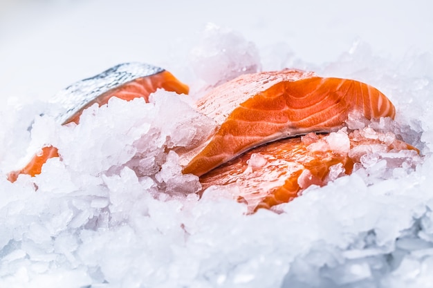 Close-up Filetes de salmón crudo fresco sobre hielo.