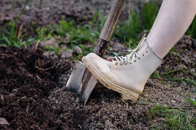 Close up Frau gräbt Erde mit Metallschaufel Graben Boden für die Aussaat von Pflanzen Landwirtschaftskonzept Arbeiter in Handschuhen Kopierbereich Horizontale Ausrichtung