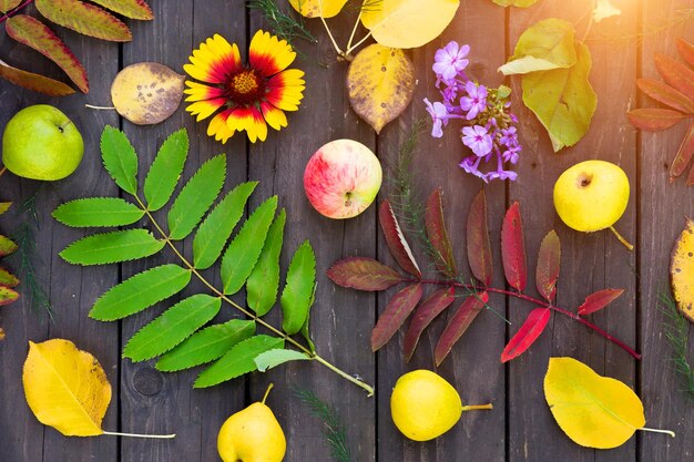 Close-up de hojas de otoño y frutas sobre fondo marrón