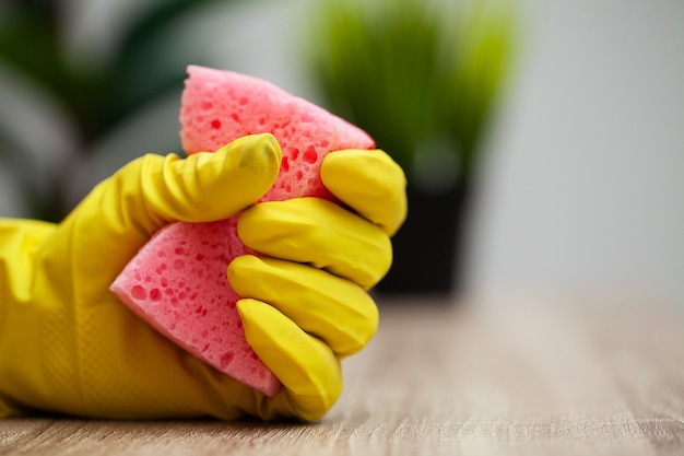 Close Up limpeza empresa trabalhador mão segurando a esponja