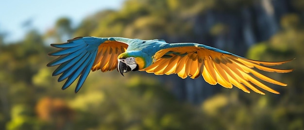 Foto close-up macaw azul e dourado voando