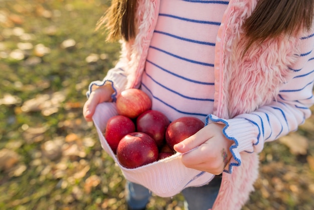 Close-up de manzanas rojas en manos de niña