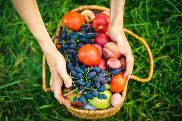 Close-up mãos coletar tomate fresco e uvas com pêssegos na cesta na grama