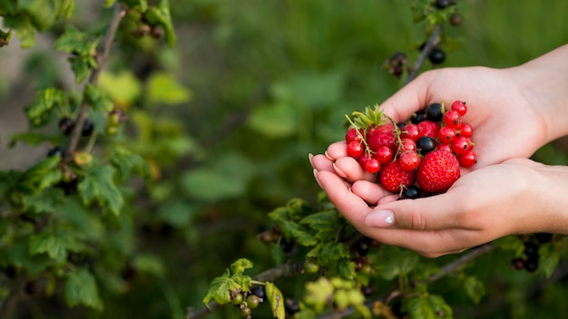 Foto close-up mãos segurando frutas saudáveis