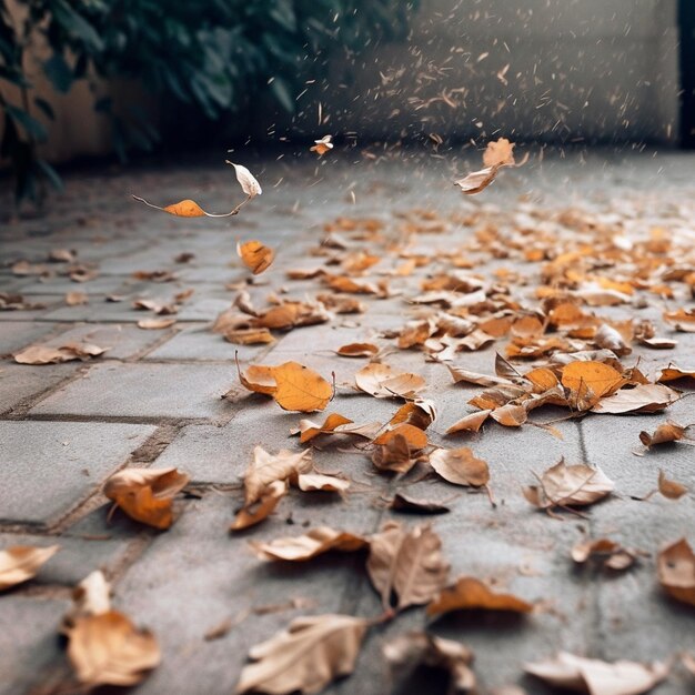 Close_up_of_concrete_floor_with_scattered_leaves