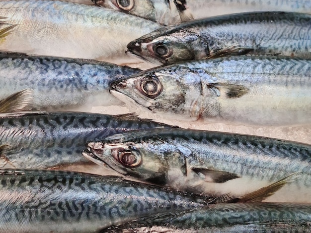 Close-up pescado fresco caballa en montón de hielo para la venta en el mercado cala