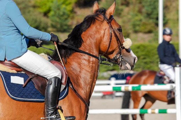 Close-up Reiterin auf einem braunen Pferd in einem Wettbewerb