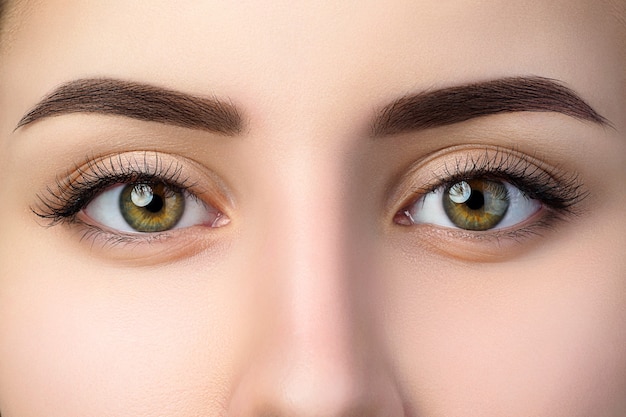 Close-up vista de lindos olhos castanhos femininos. Sobrancelha na moda perfeita. Boa visão, lentes de contato, barra de sobrancelha ou conceito de maquiagem de sobrancelha da moda