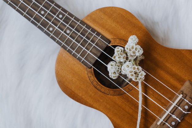 Close-up vista do ukulele com um raminho de flor edelweiss em fundo branco fofo