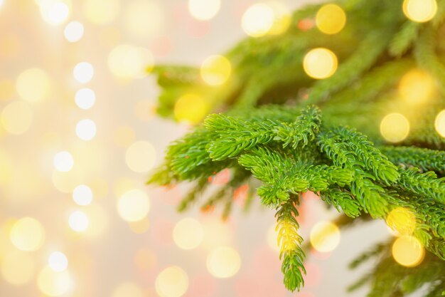 Closeup árvore de Natal com bokeh de fundo claro
