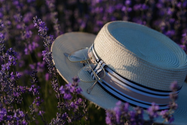 Closeup de chapéu e óculos em flores de lavanda