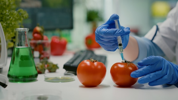 Foto closeup de cientista injetando tomate com líquido genético usando seringa médica para experimento de microbiologia